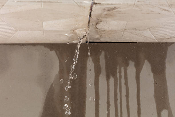 Professional Burst Pipe Cleanup technician working in Double Springs, AL